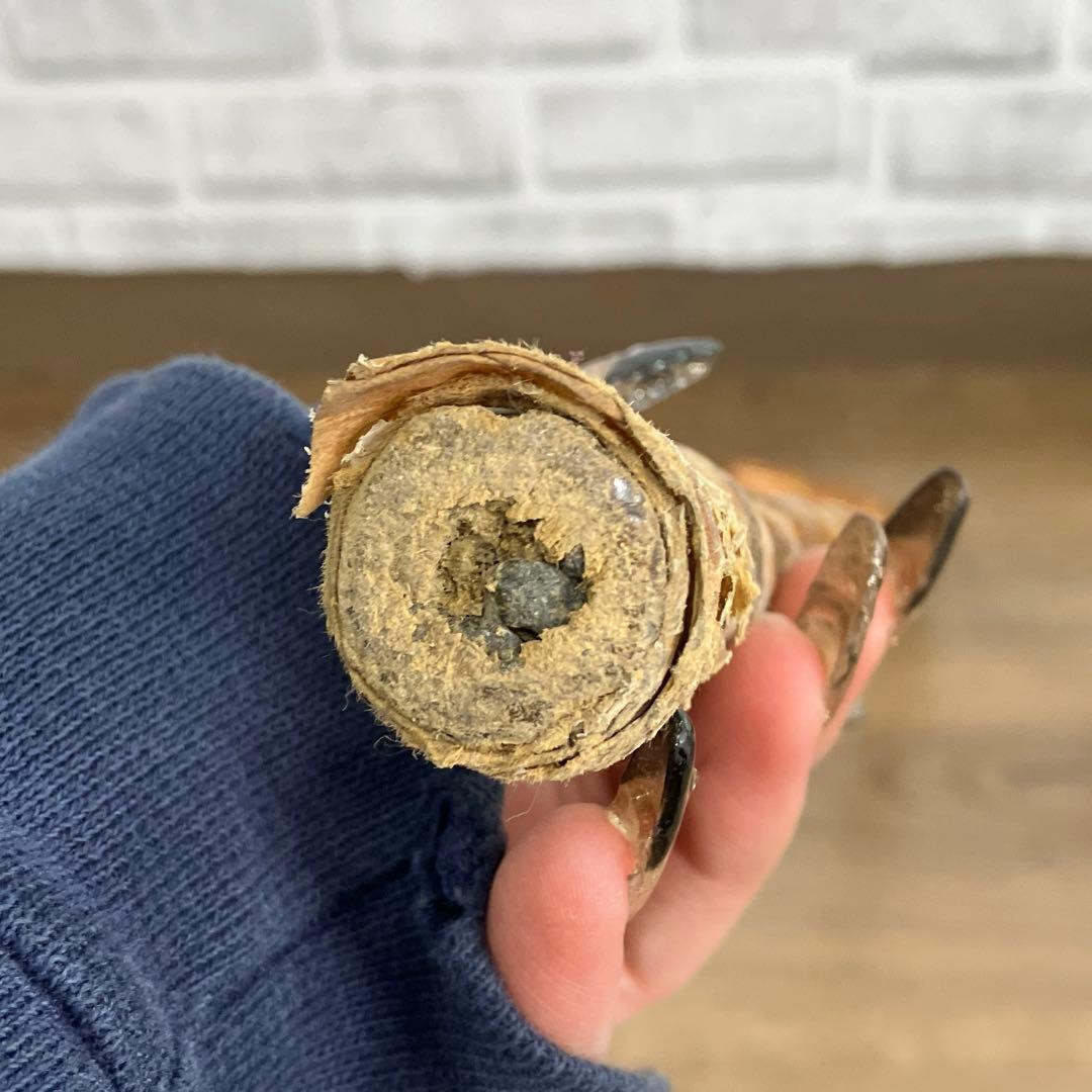 B-2 天然素材 根竹 ステッキ 杖 一本杖 アンティーク レトロ 根曲がり竹