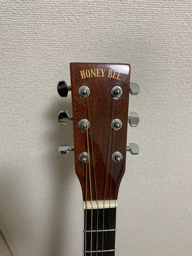 HONEY BEE 弦高調整済 初期調整済 F-15 初心者セット アコギ