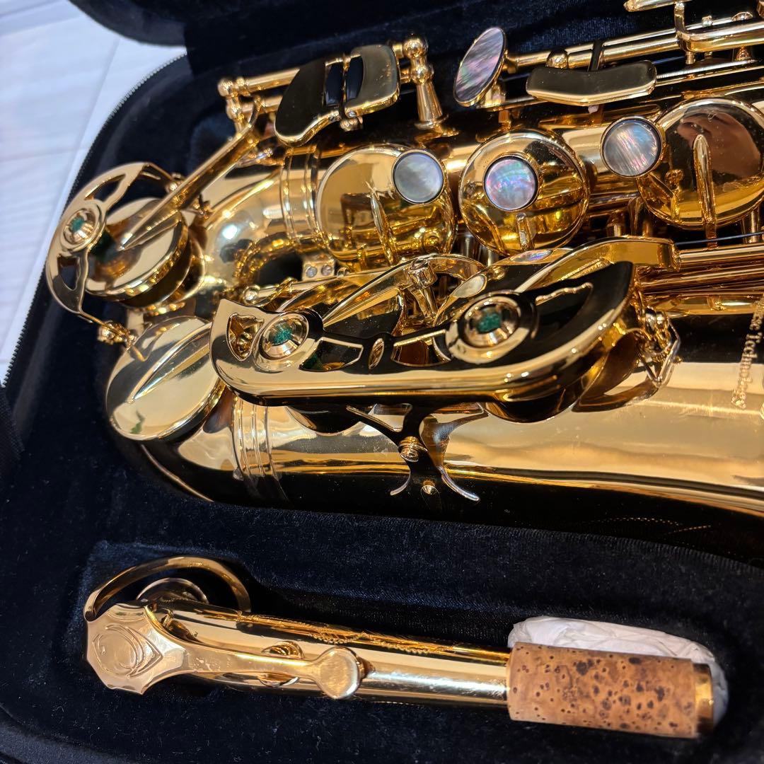 EYS アルトサックス EAS-01 ケース、クリーニング用品付