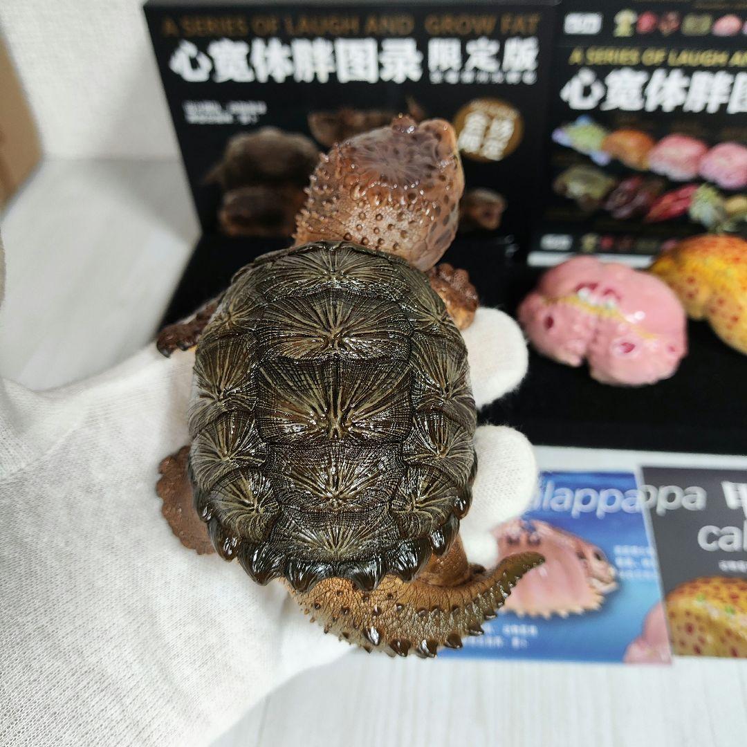 【動物の惑星】激レア★カミツキガメ限定品+カラッパ廃盤品!! フィギュア
