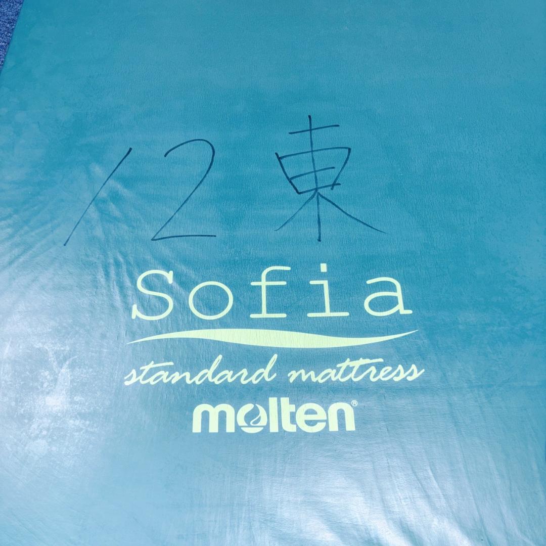 【送料込】molten ソフィアway 介護用マットレス リバーシブル 介護 ⑤