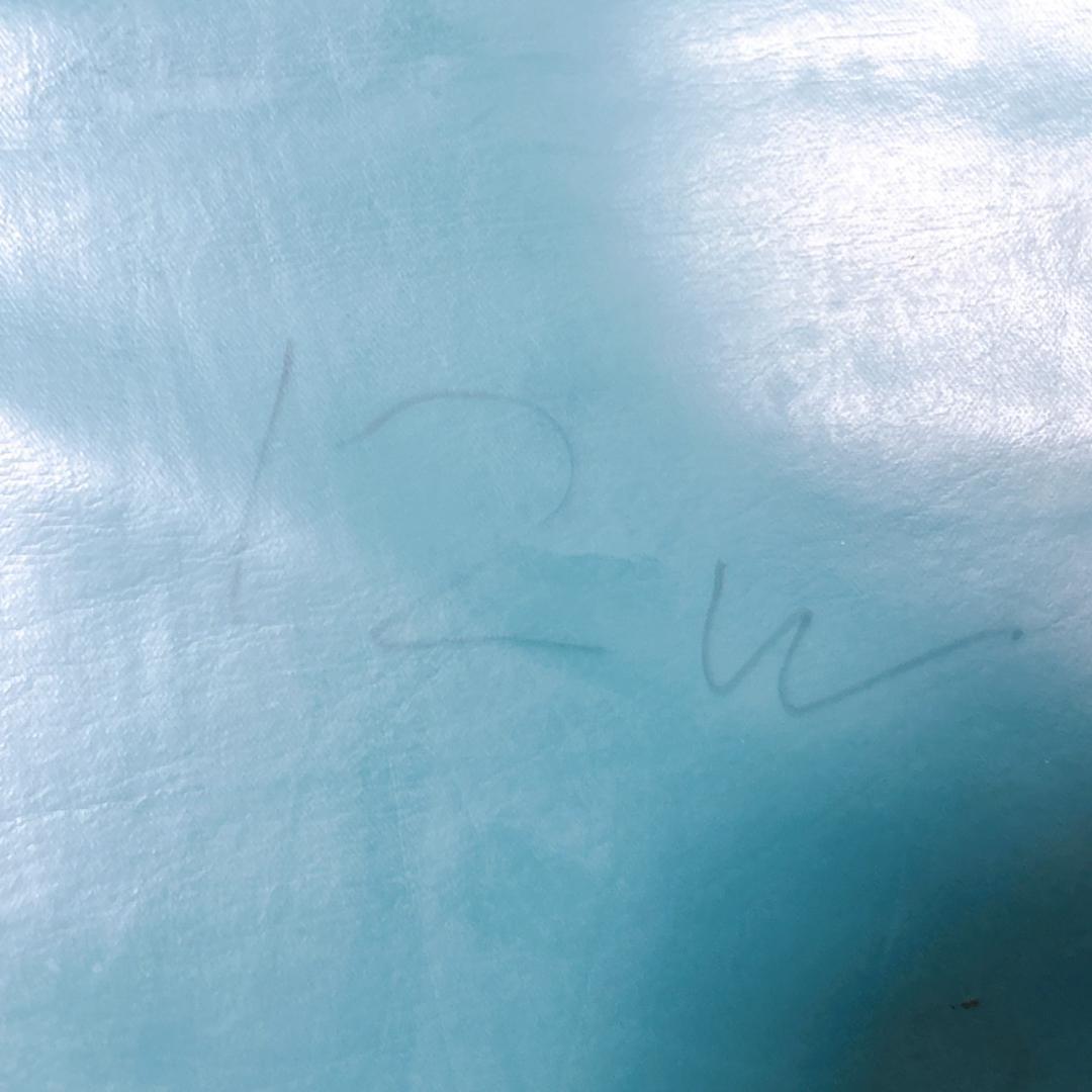 【送料込】molten ソフィアway 介護用マットレス リバーシブル 介護 ⑤