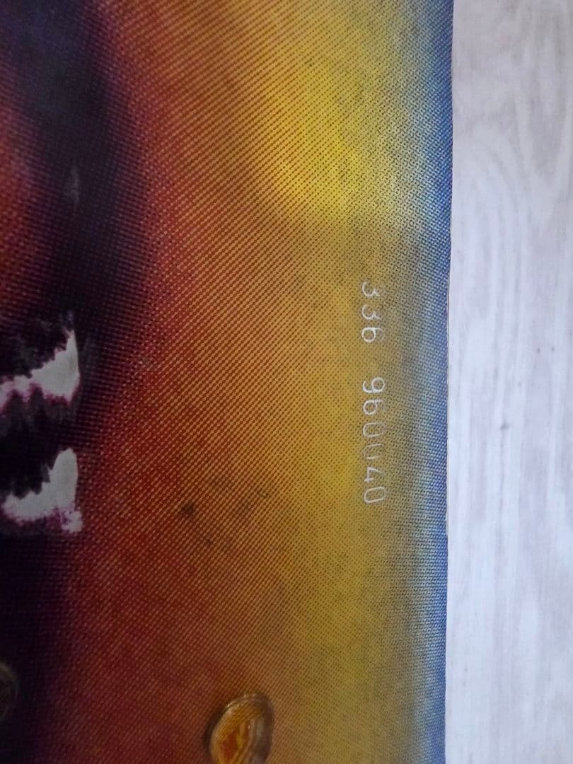 DC Think Fast スノーボード　板152cm 　ソフトケース付き