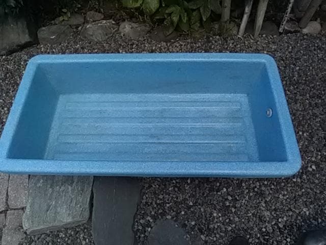 いけす・生け簀・金魚すくい・らんちゅう・睡蓮・水草・ひょうたん池