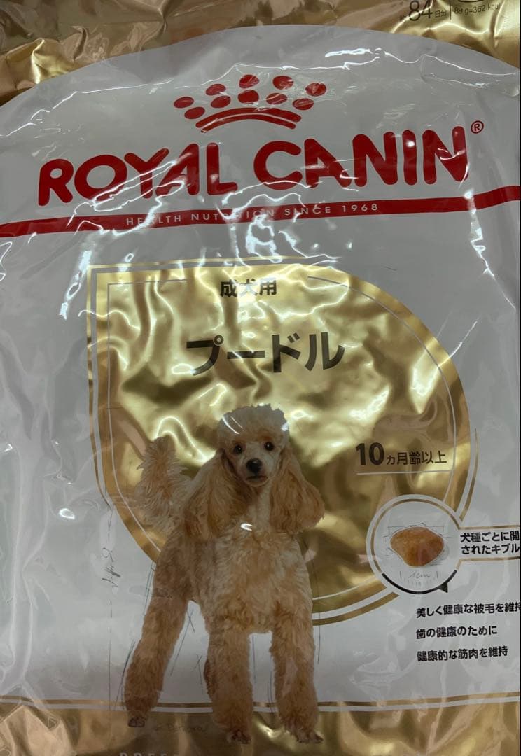  CANIN プードル用 ドライフード