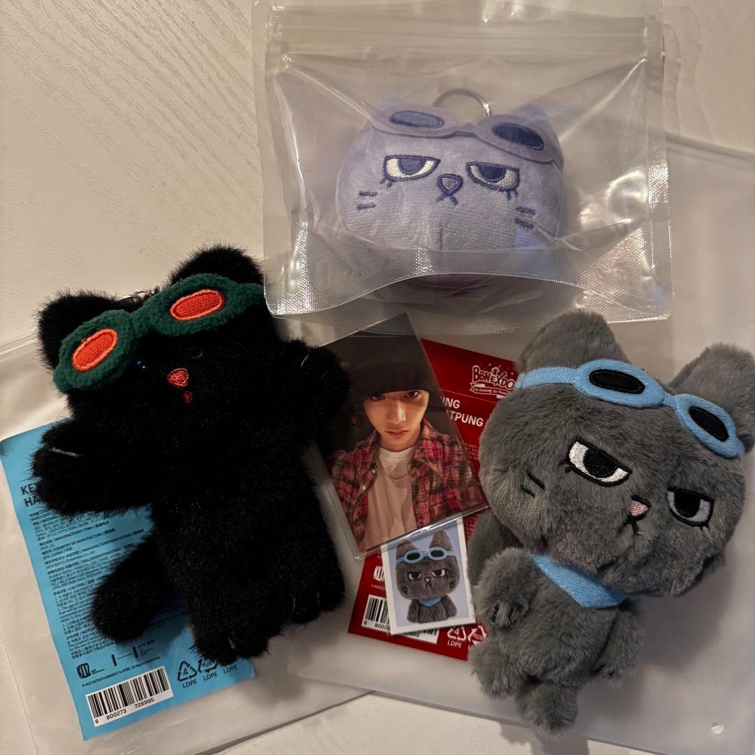 BOYNEXTDOOR テサン　プネクドキーリング