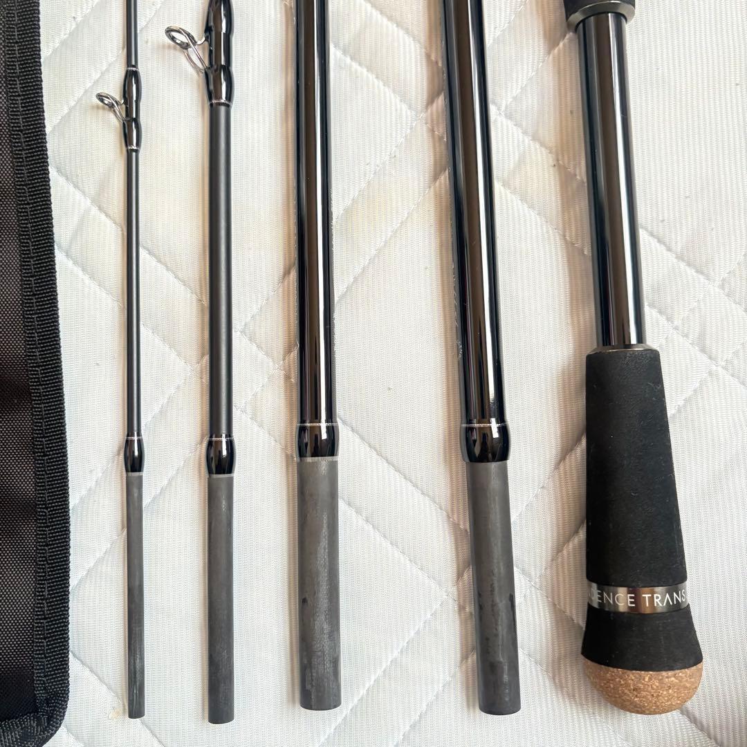 トランスセンデンス　レイトブルーミングス　 (旧型)