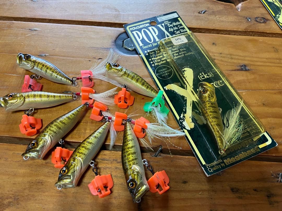 SGスモールマウスバスPOP-Xセット