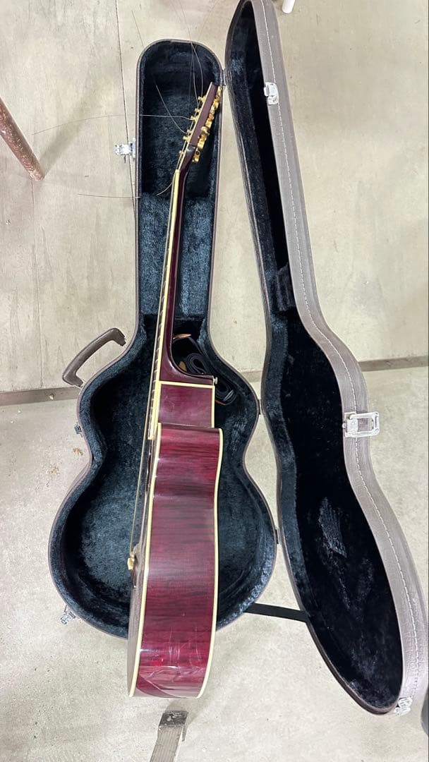 takamineNPR-110 バーガンディ アコースティックギター