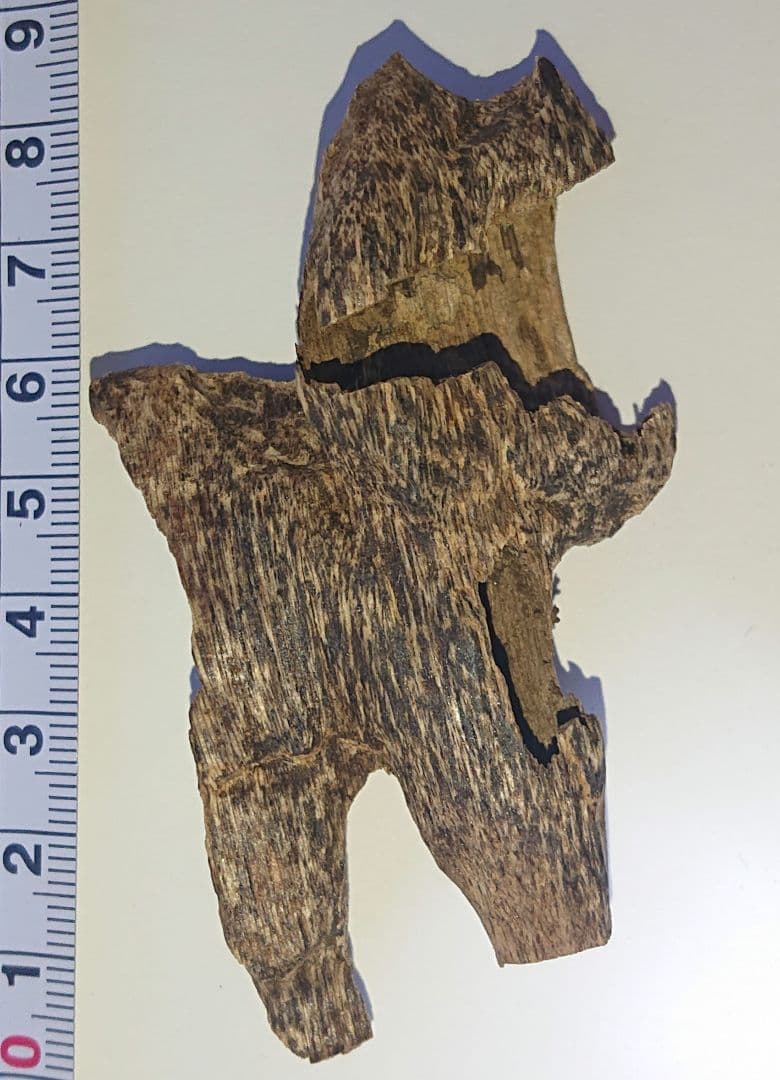 香木 沈香 伽羅 聞香◎品名 ミャンマー産上物