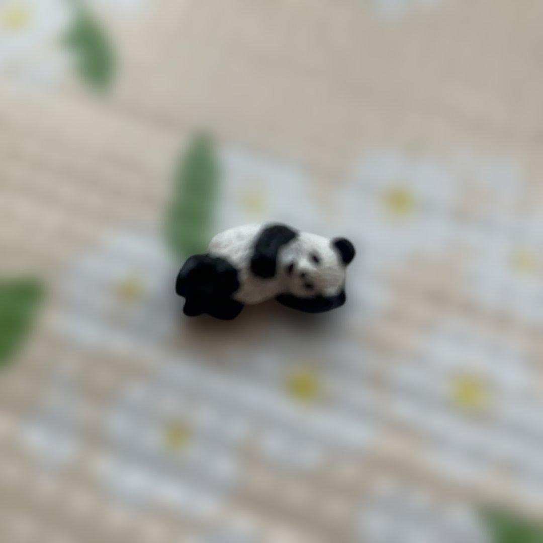 ★アドベンチャーワールド★オルゴール★ ♫シャイン オン ユー♫マスコットパンダ