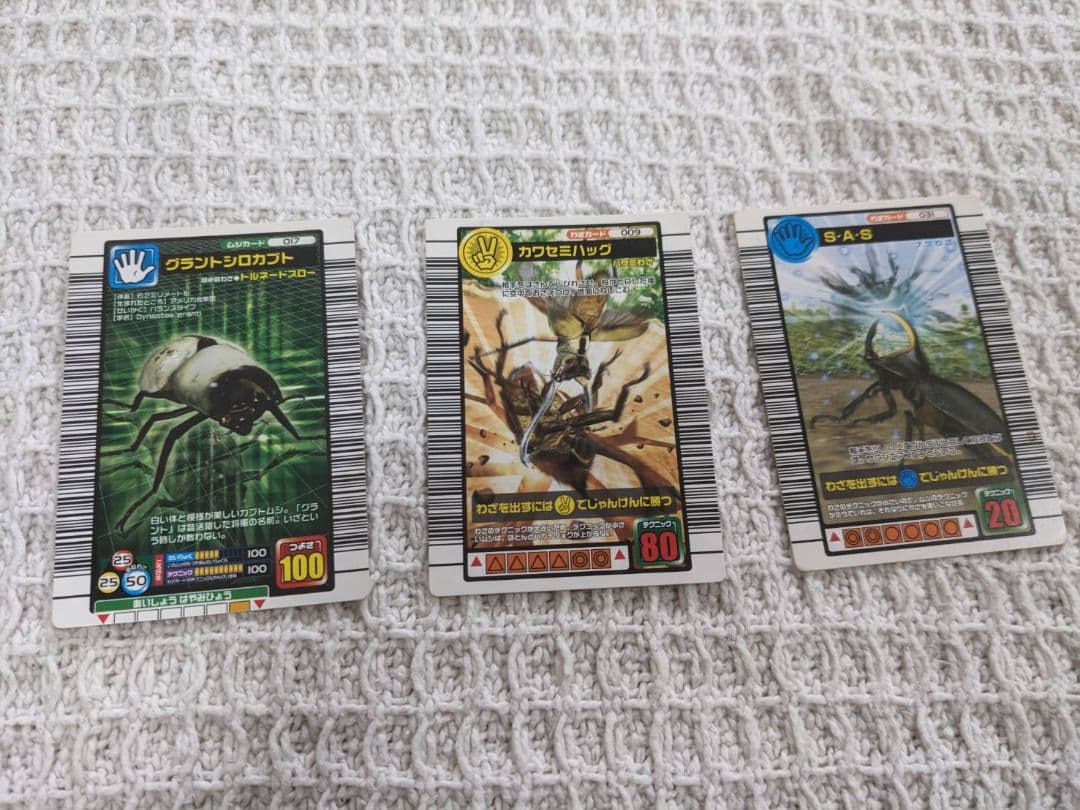 昆虫トレーディングカードセット