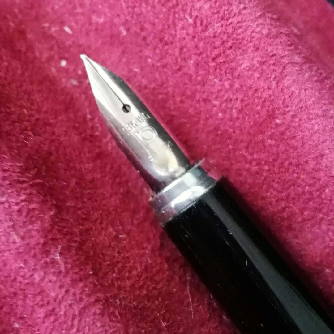 逸品　プラチナリビエール銀河　スターリングシルバーに本金焼き付け万年筆　金銀触刻