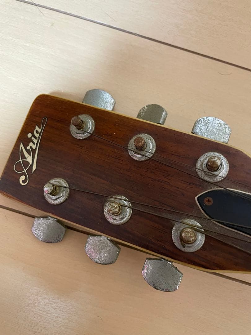 Aria アコースティックギター W-300