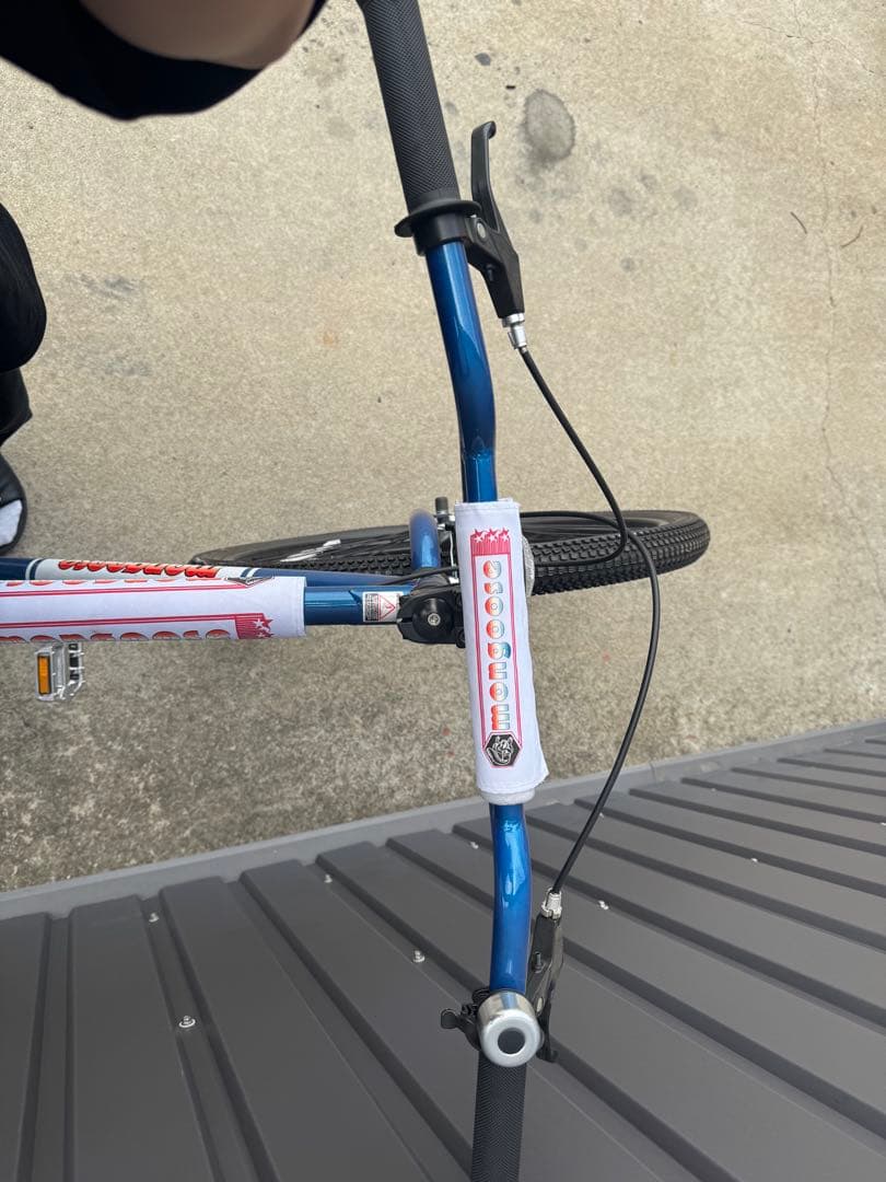 【29インチ BMX】Mon クルーザー BMX 自転車 ブルー