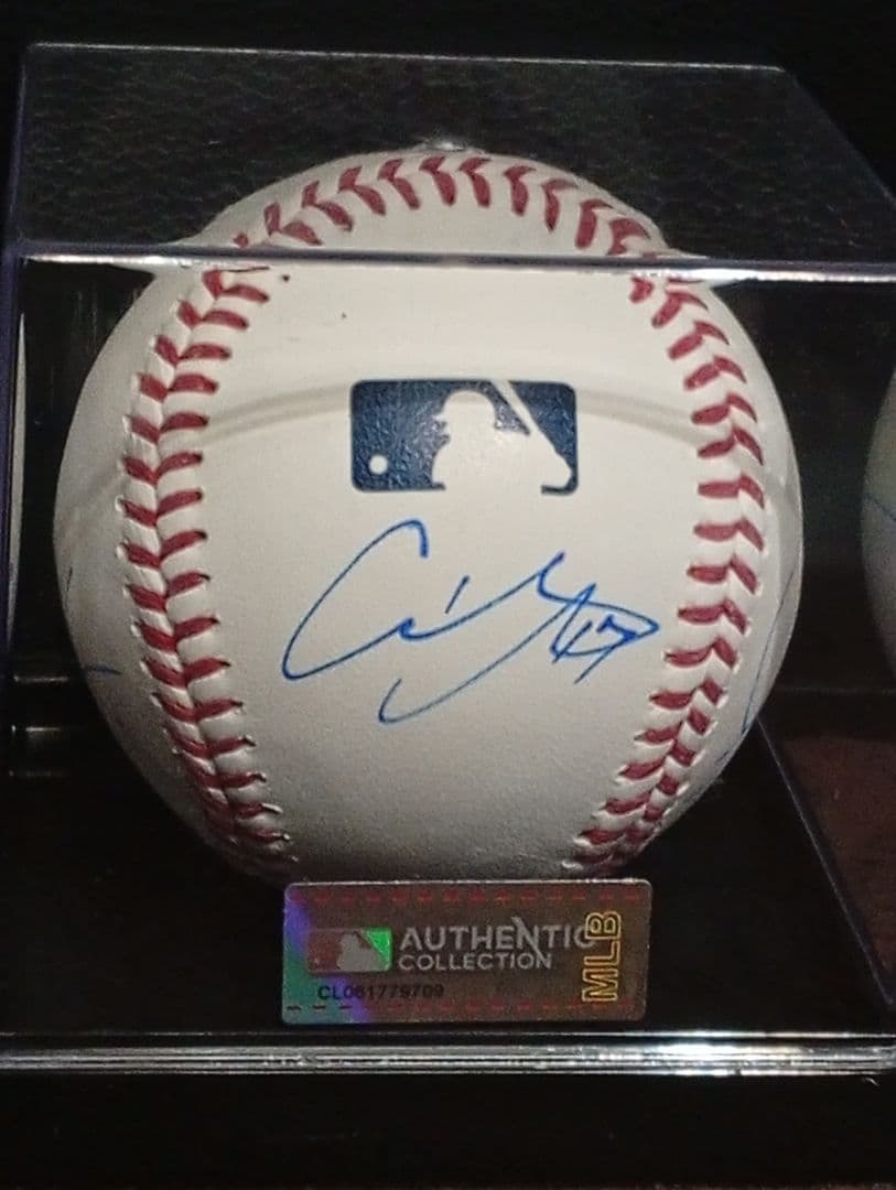 ケース付き！LA 大谷翔平 佐々木朗希 山本由伸 直筆サインボール MLB公式球