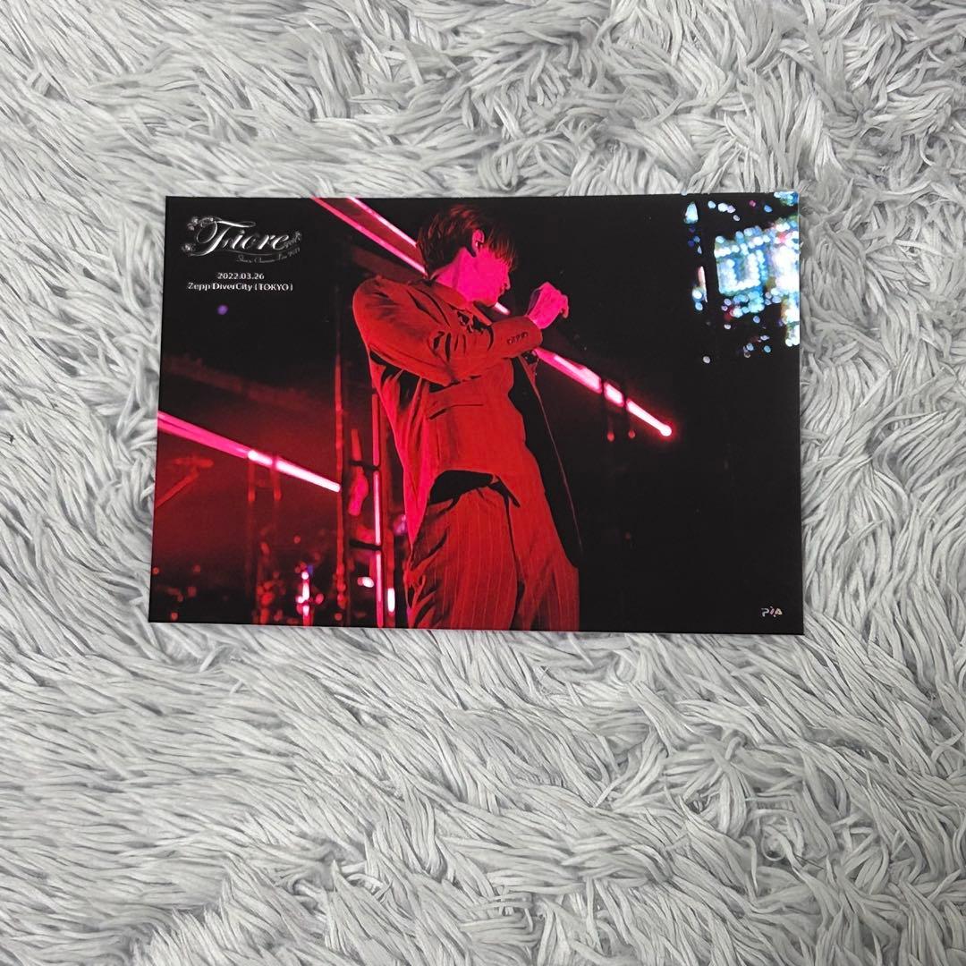 歌い手 しゅーず ブロマイド・メモカ 計237枚