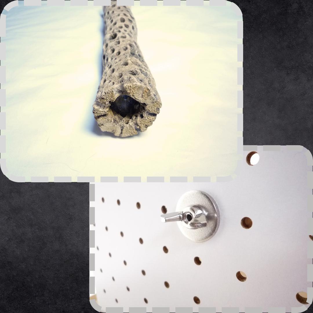 鳥用品　止まり木　カクタス　スケルトン　パーチ　特大No.217