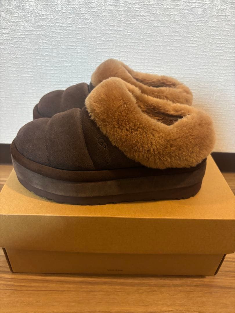 ugg ダズリータ　ブラウン