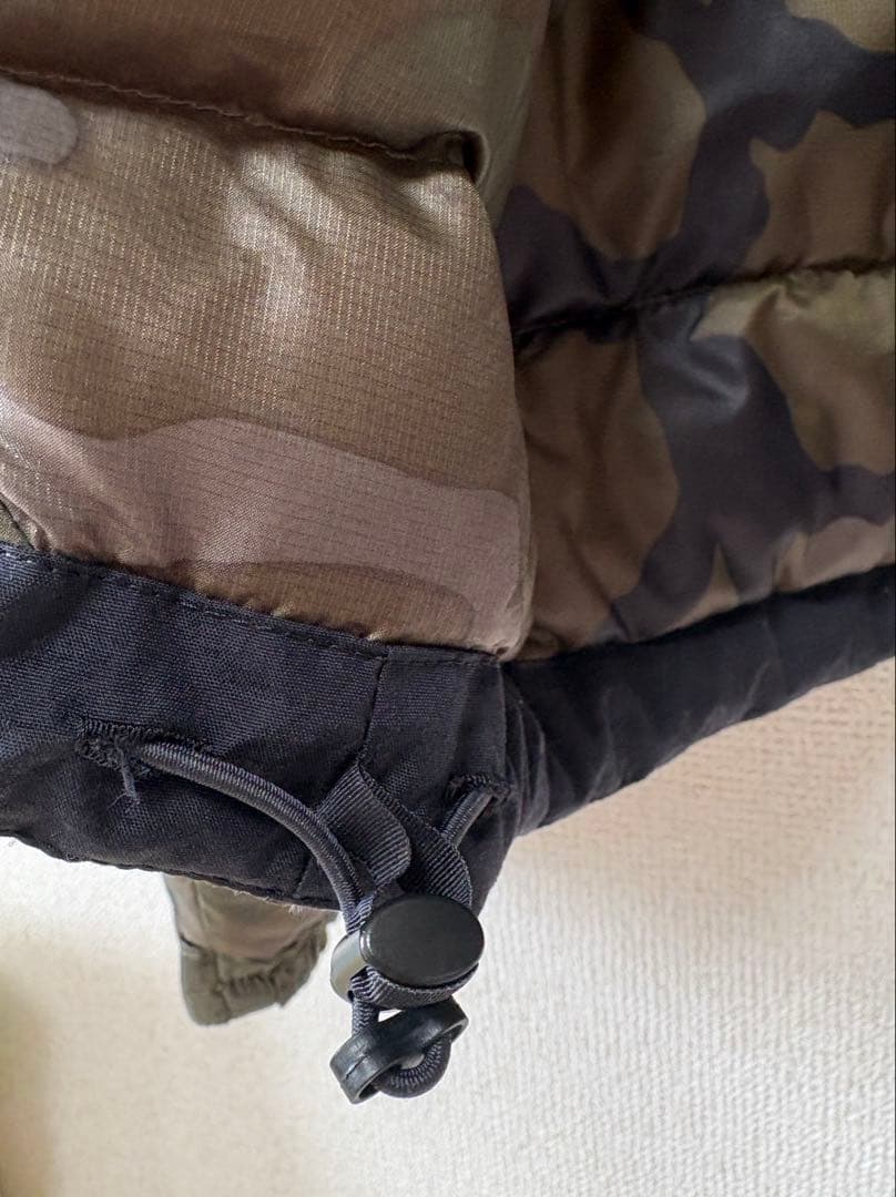 THE NORTH FACE SUMMIT SERIES ダウン