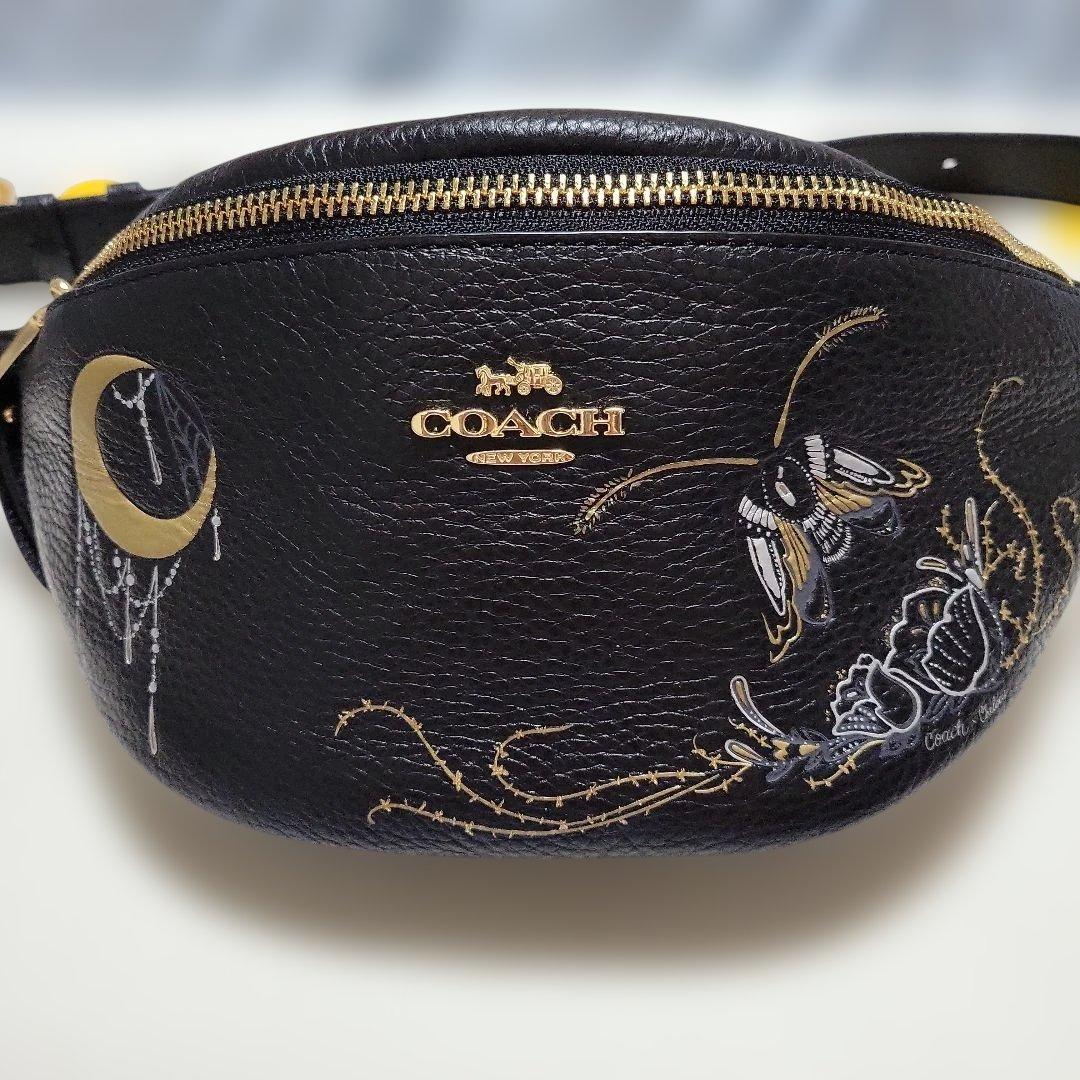 COACH　皮革ウエストポーチ、ボディバック刺繍デザイン【極美品】