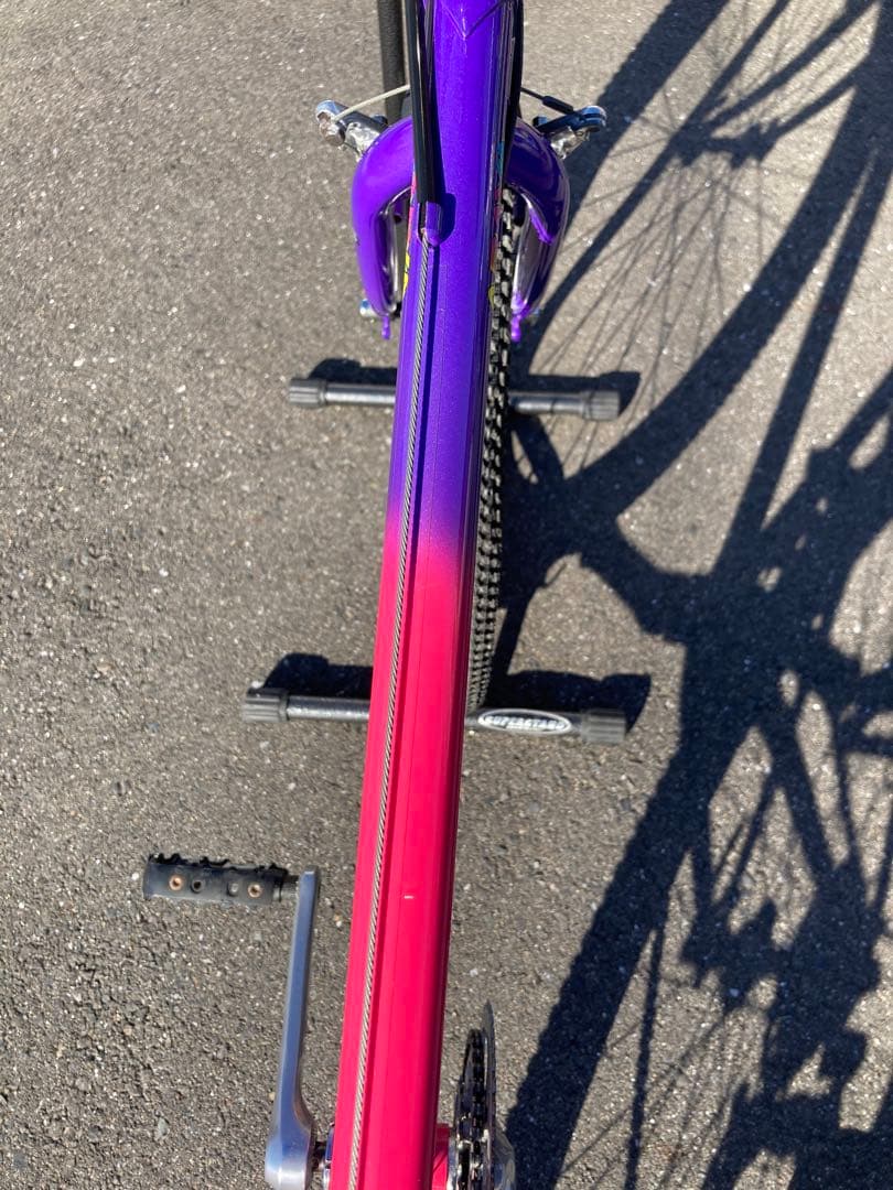 自転車本体 ARAYA Muddy Fox OLD MTB 26