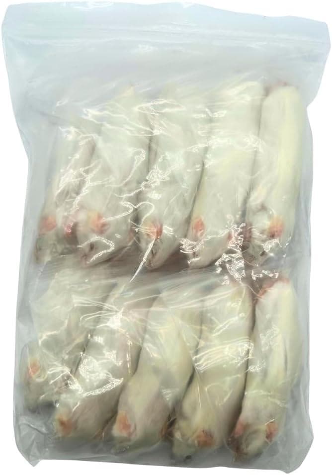 【送料無料】冷凍マウス　アダルトM（目安20g〜24g） 100匹入り　猛禽類餌