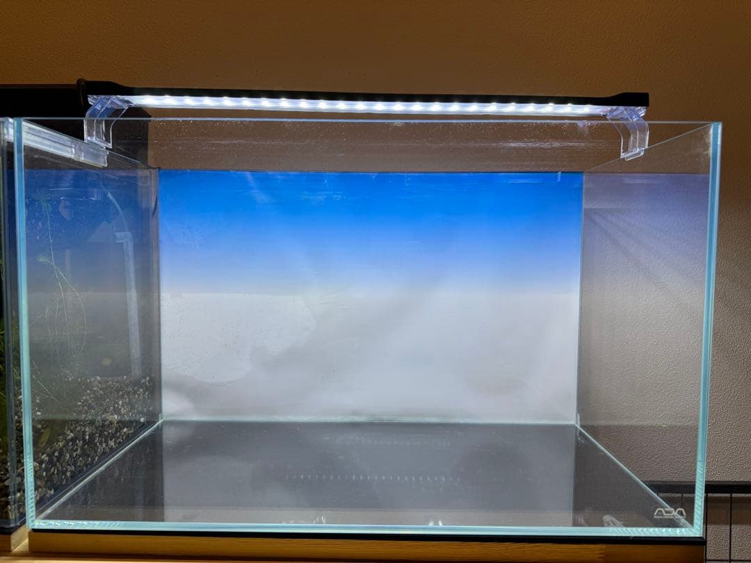 ADA キューブガーデン60