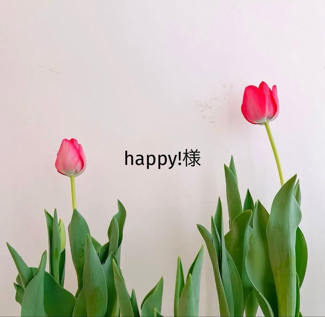 happy!品