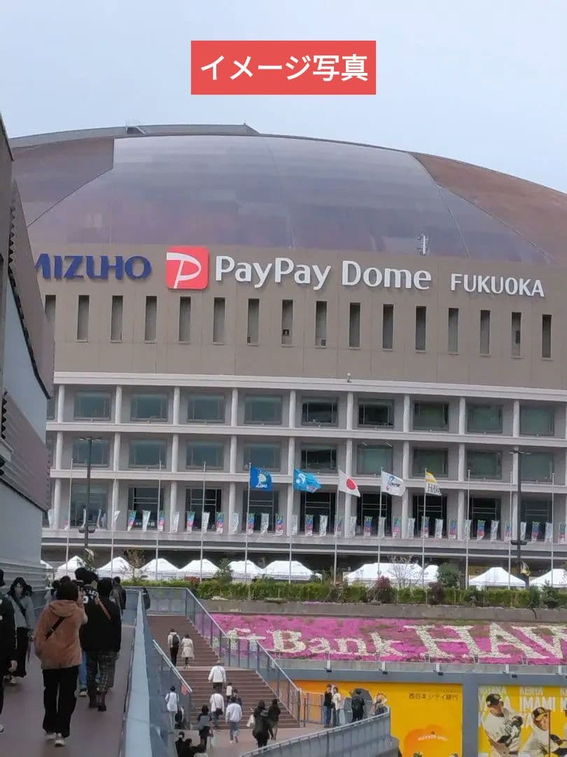 福岡ソフトバンクホークス 周東佑京レプリカユニフォーム　未使用に近い美品