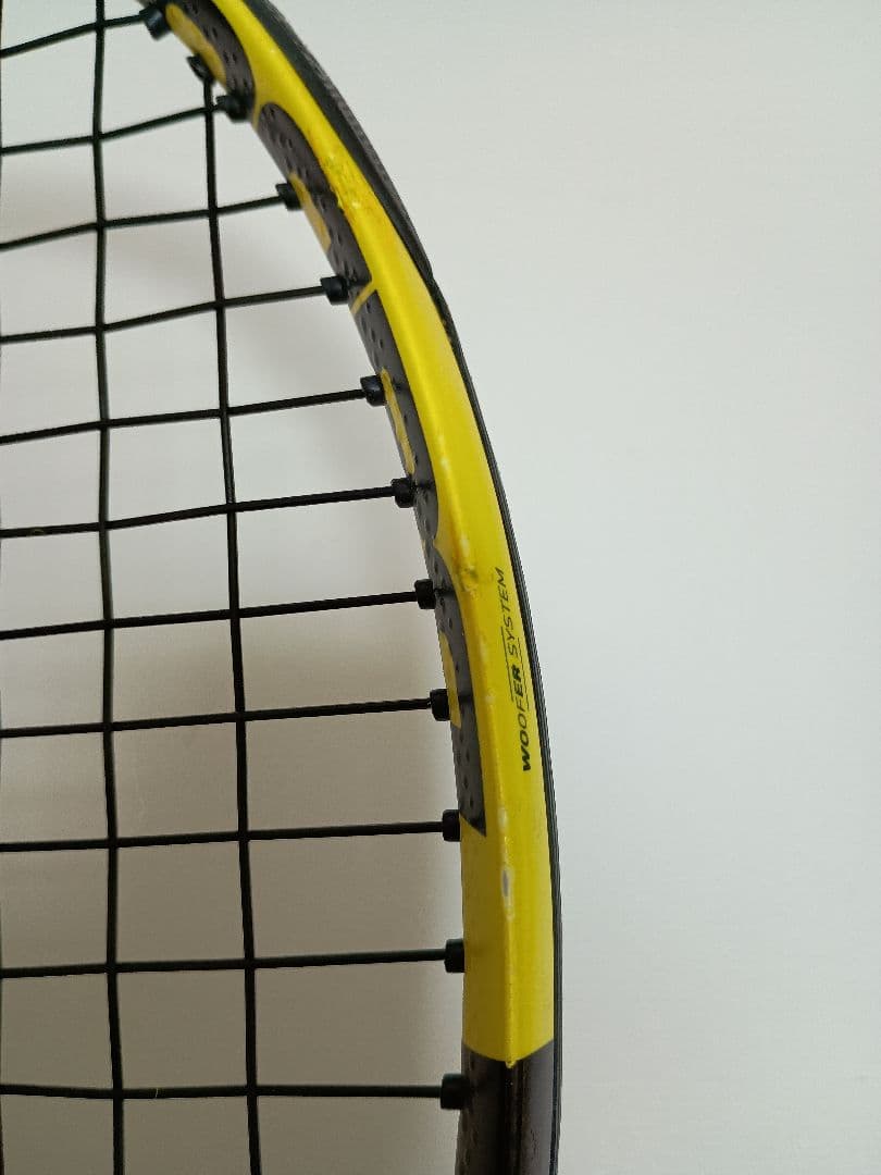 ペンペンさん　専用 バボラピュアアエロ　100 G2 ２本組