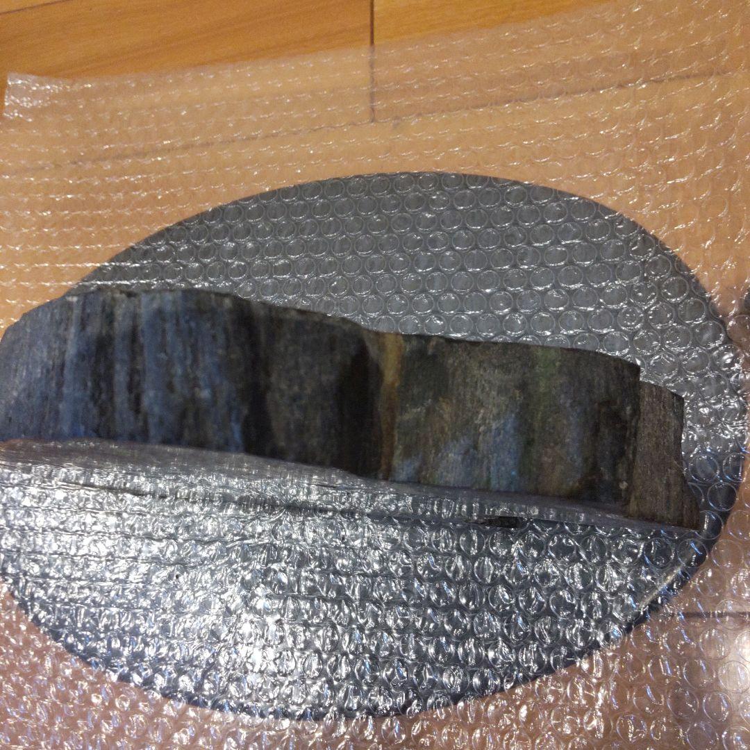 #化石(樹木)６月 価格