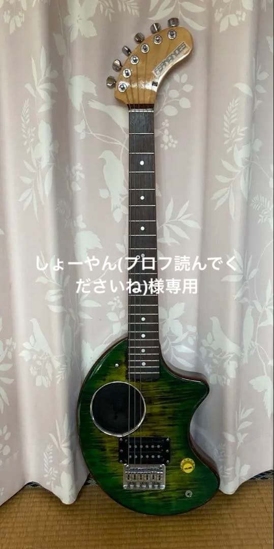 FERNANDES 内蔵スピーカー付きエレキギター