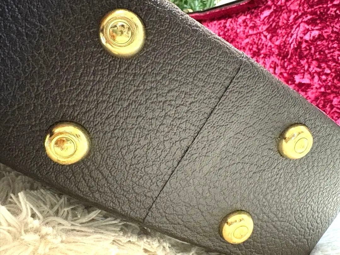 Taylorエレアコハードケース付き　412cerosewood v-class