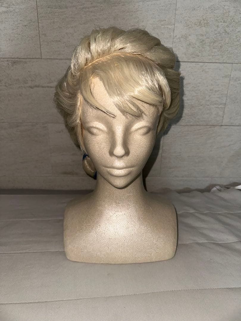 エルサ　戴冠式　ウィッグ