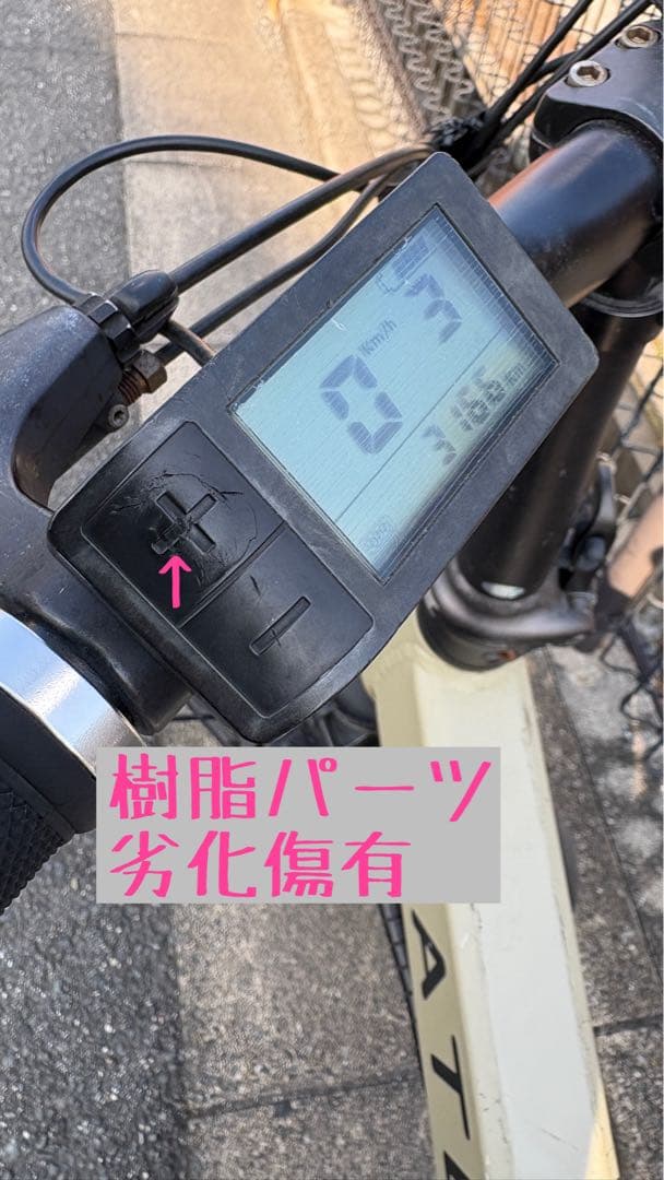 MATE X 250 電動 自転車 デザートストーム