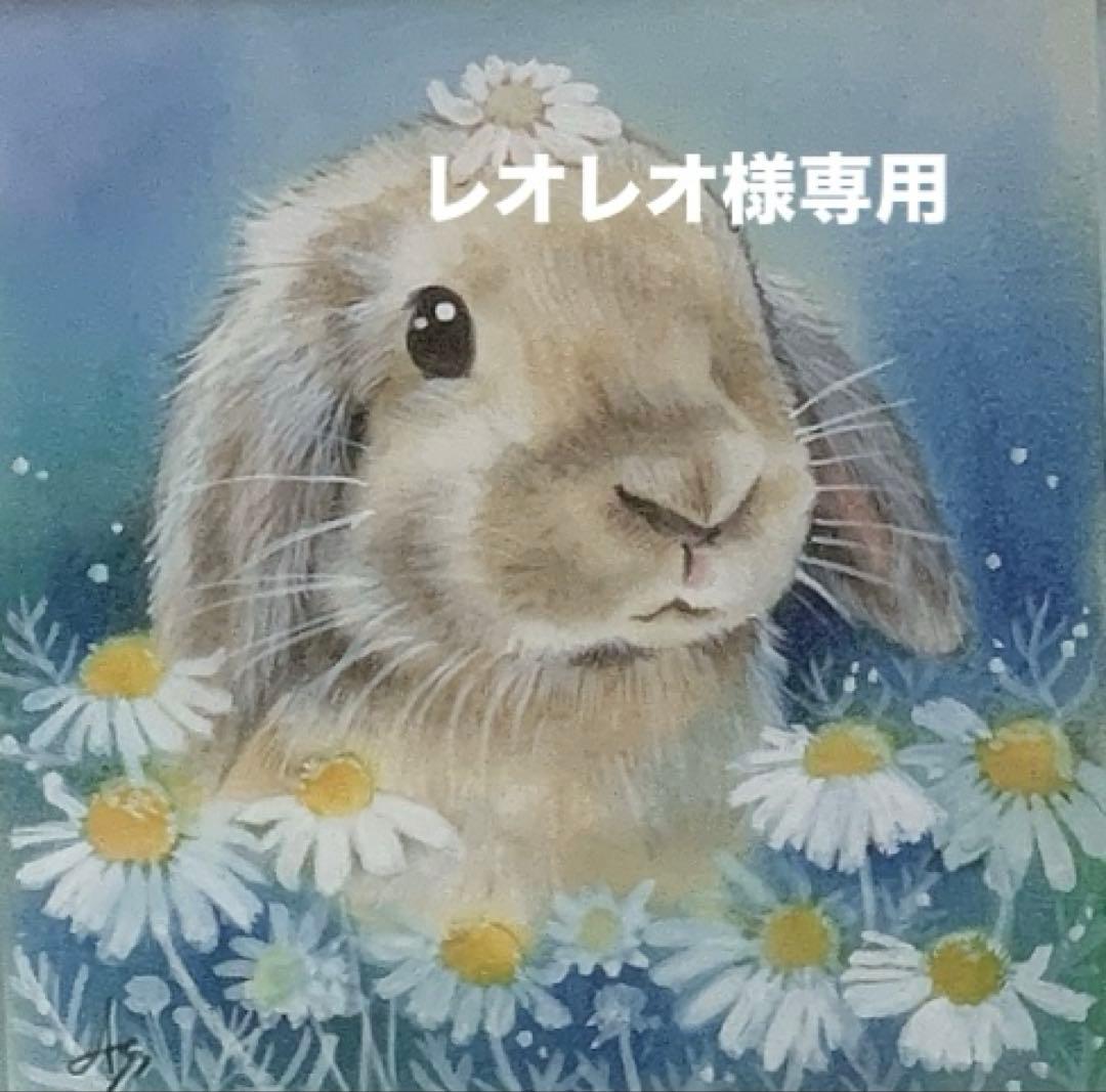 《レオレオ》セレクションプロ乳酸菌サプリトリーツ正規品3袋他追加有