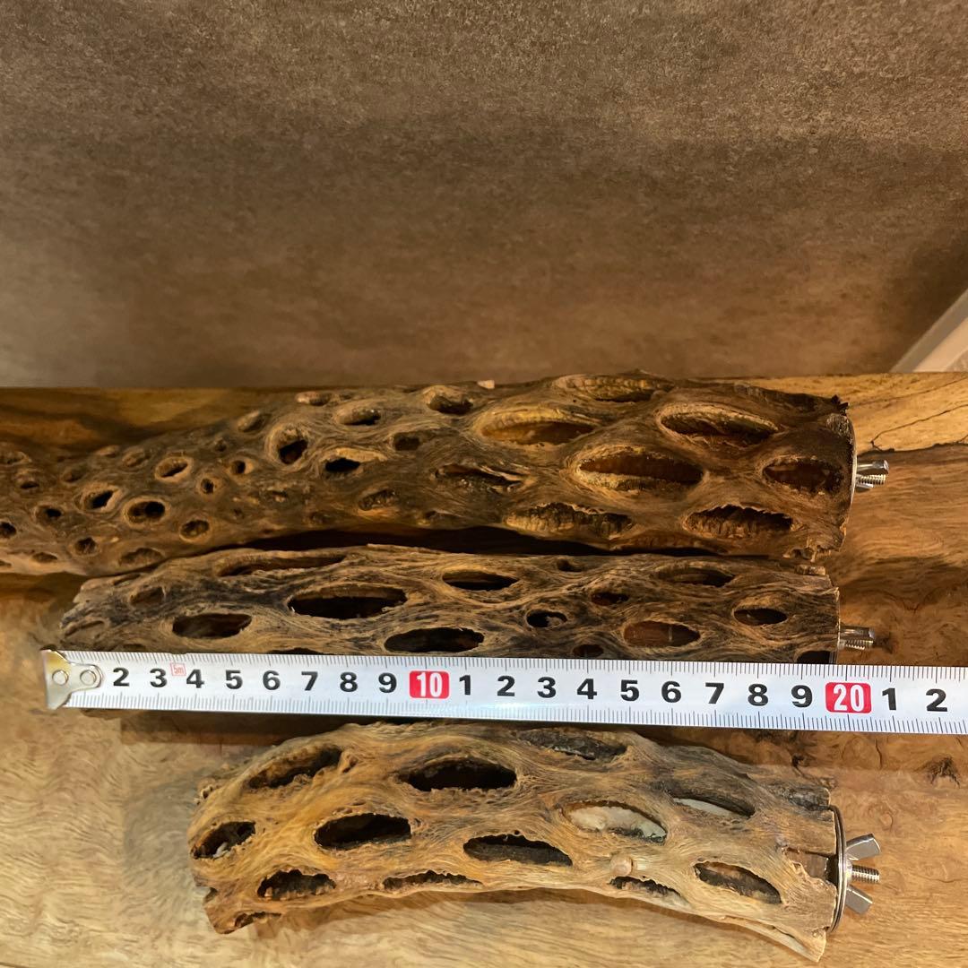 【まるさん専用】オーダーメイドカクタスパーチ相談ページ