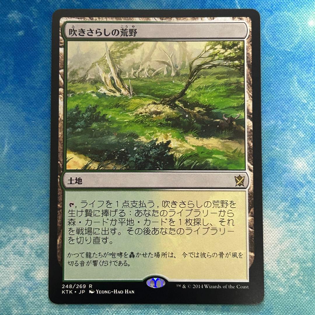 吹きさらしの荒野 4枚セット MTG