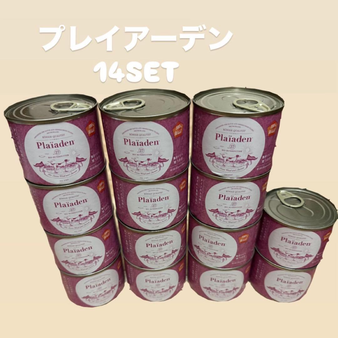 プレイアーデン　ラビット　Plaiaden