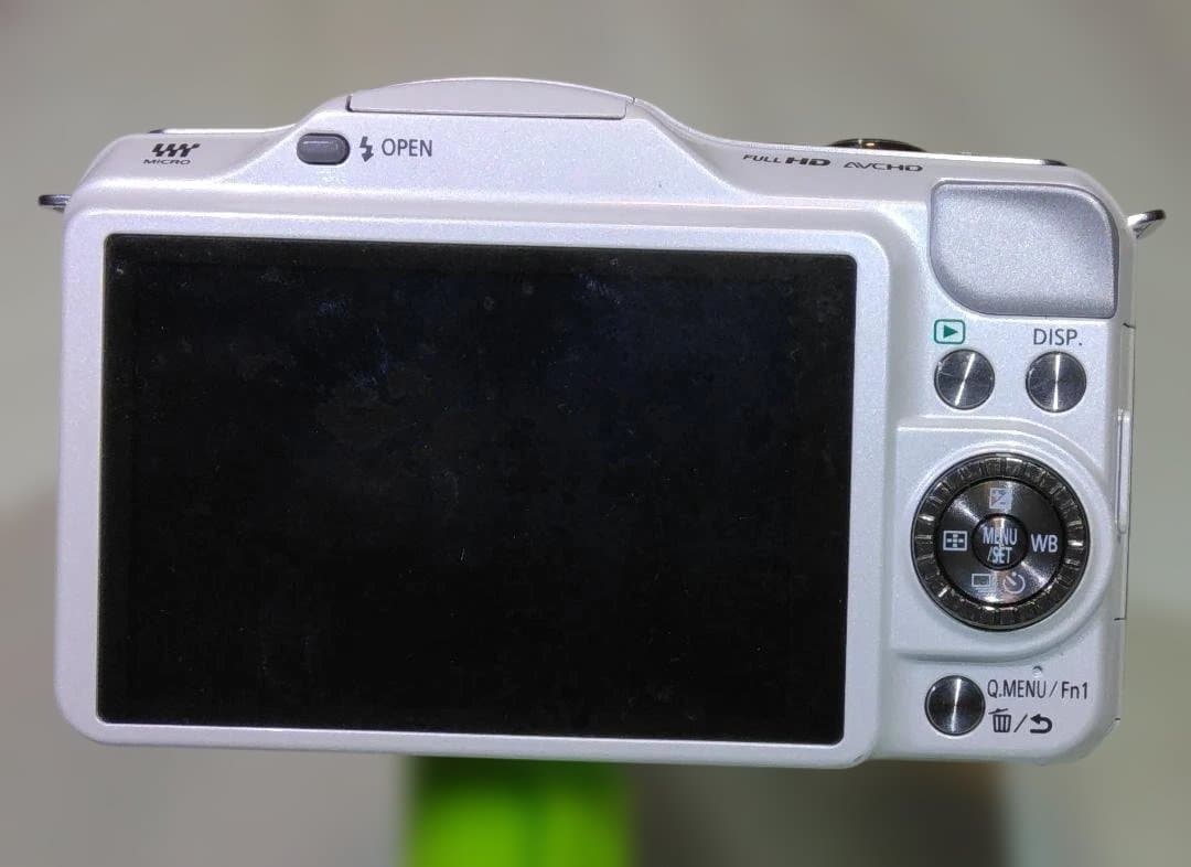 Lumix GF5 カメラ本体+10倍接写レンズ