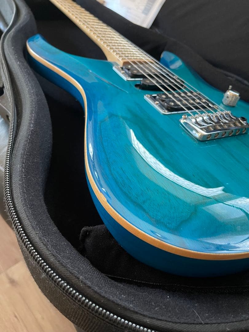 【激レア】G-Life Guitars DSG Classic ロイヤルブルー