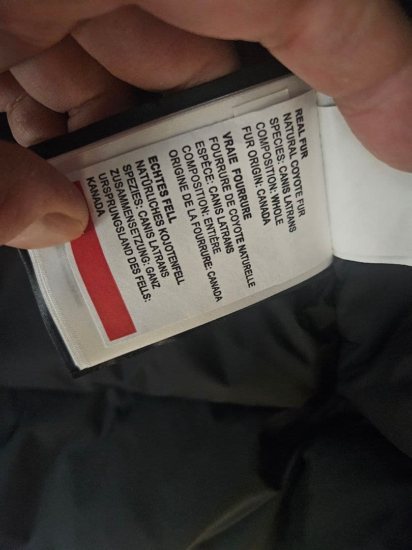 カナダグース　ジャスパー