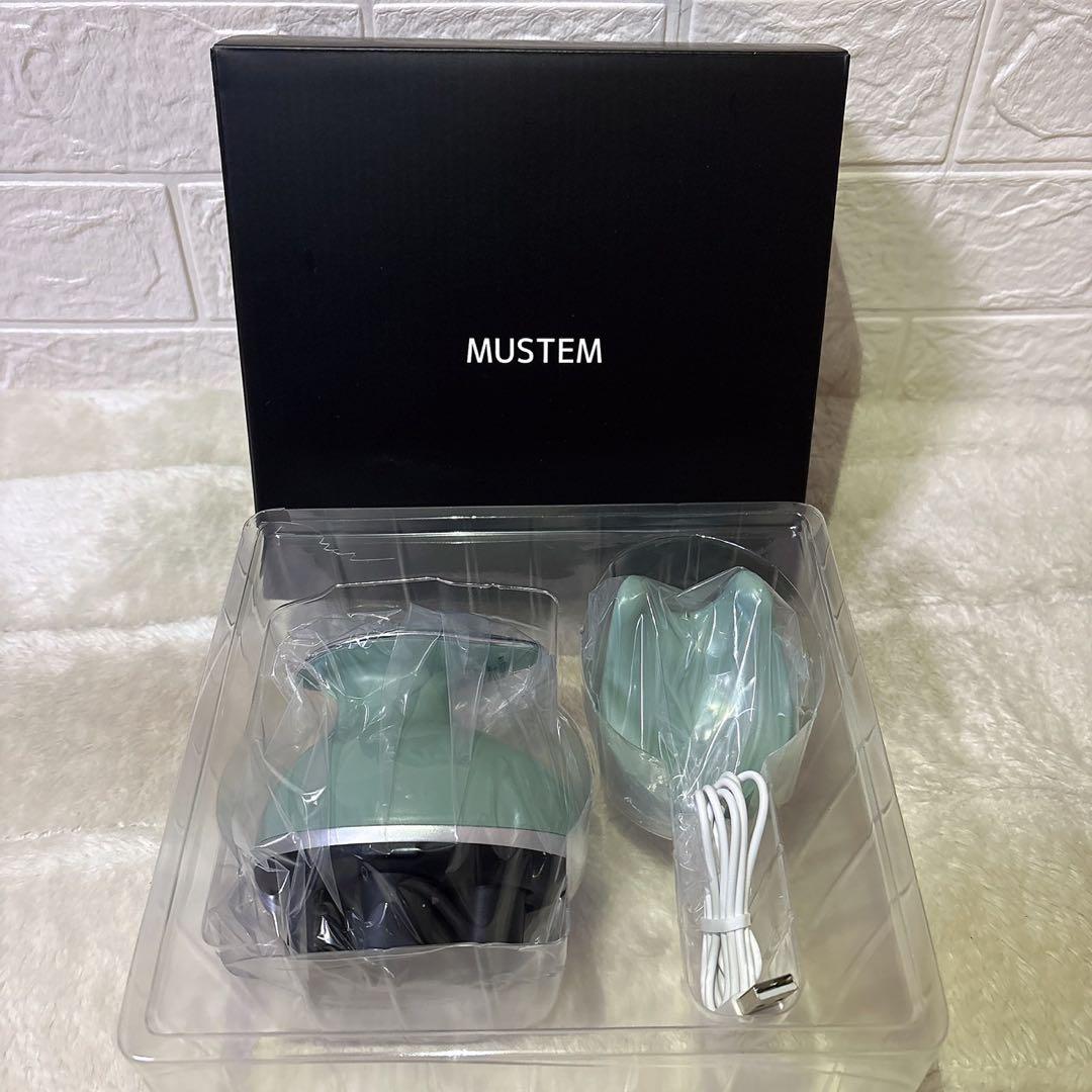 Ｓ☆mustem スカルプブラシ MST-EHG グリーン