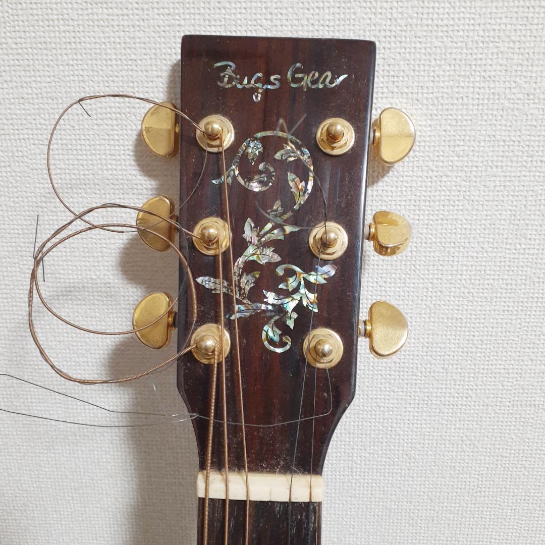 BugsGear（バグスギア）DR50TW