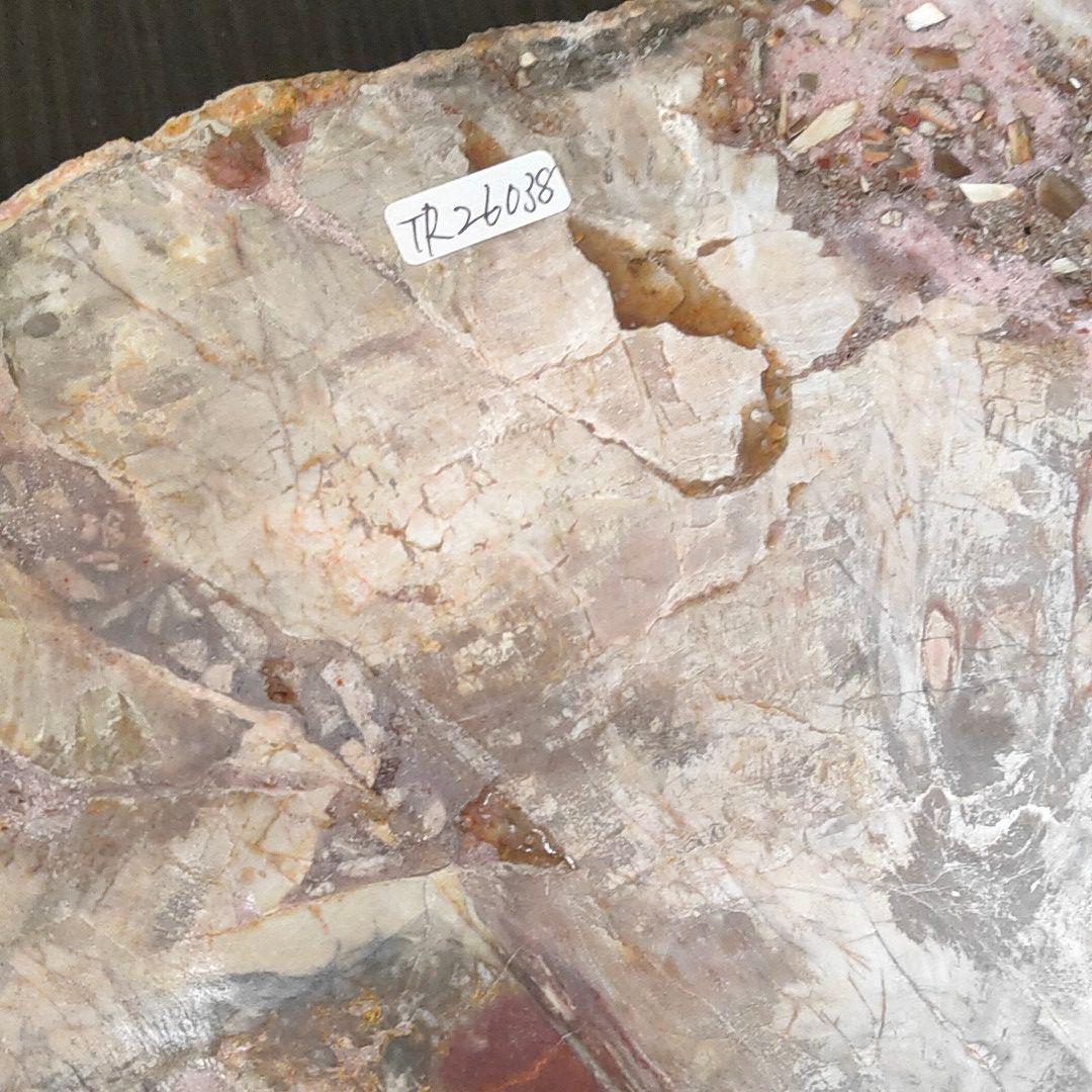 超特大の珪化木の化石です。