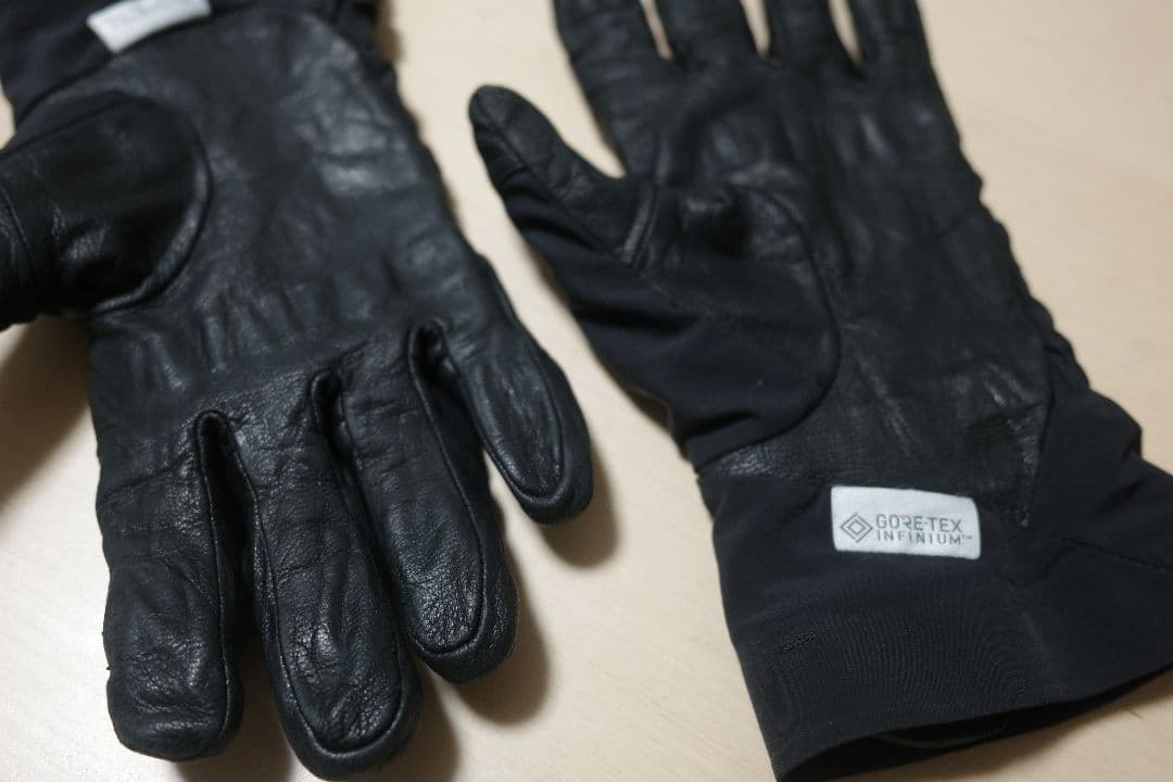 ARC’TERYX Venta AR Gloveアークテリクス ベンタ AR