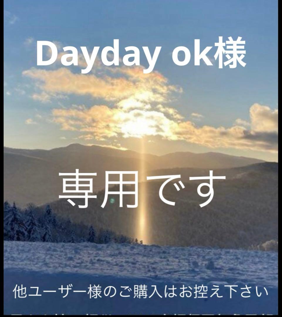 Dayday ok 正規品CHANELカメリア スウィングピアス片方