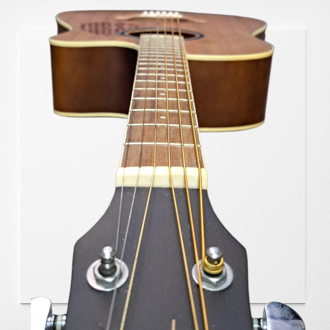 Chard Guitar　C3000　シリアルナンバー入り