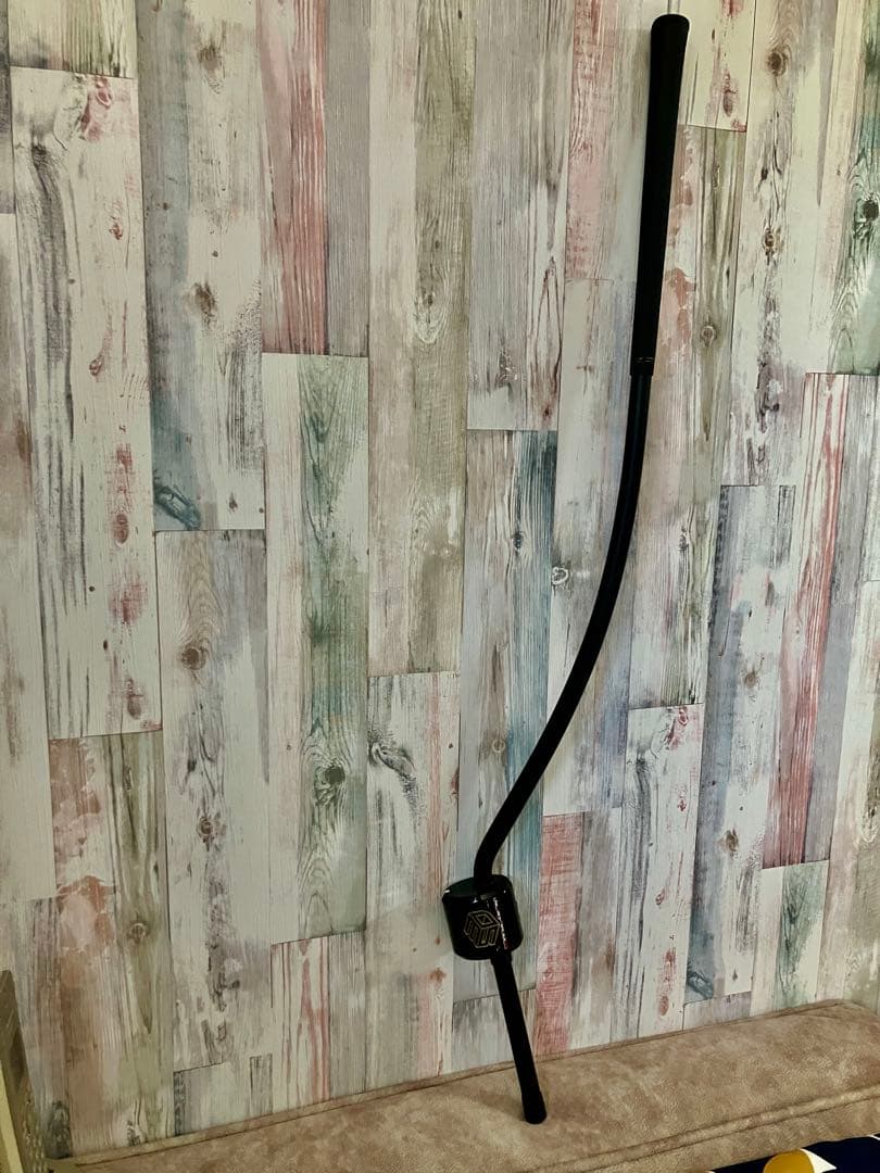 3D Swing Master ゴルフスイングトレーニング